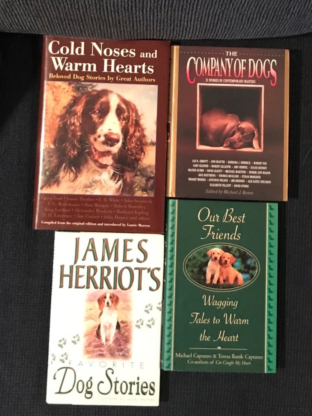 4 HARDCOVER BOOKS FOR DOG LOVERS, STORIES BY VARIOUS AUTHORS